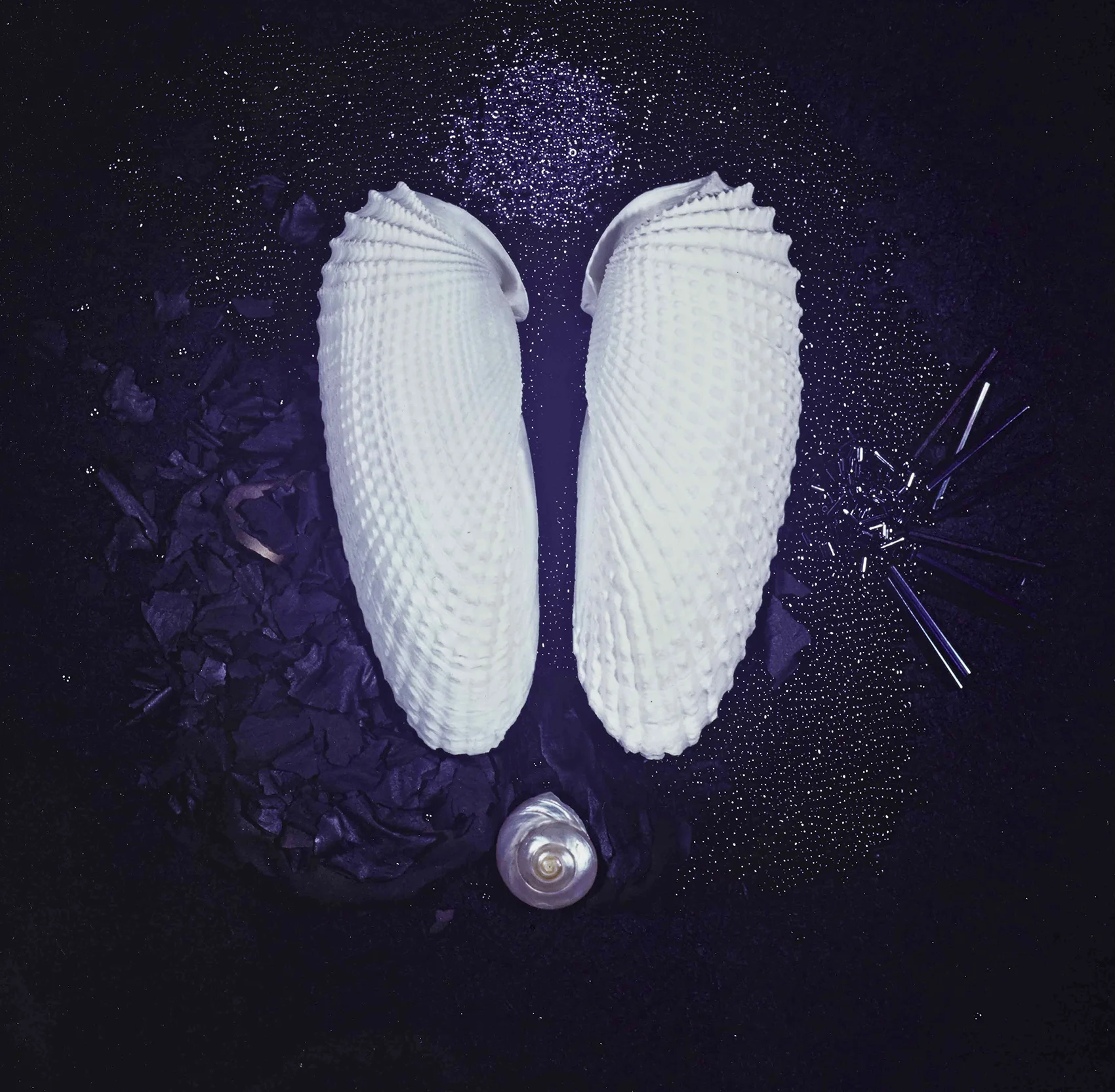  Two Shells 