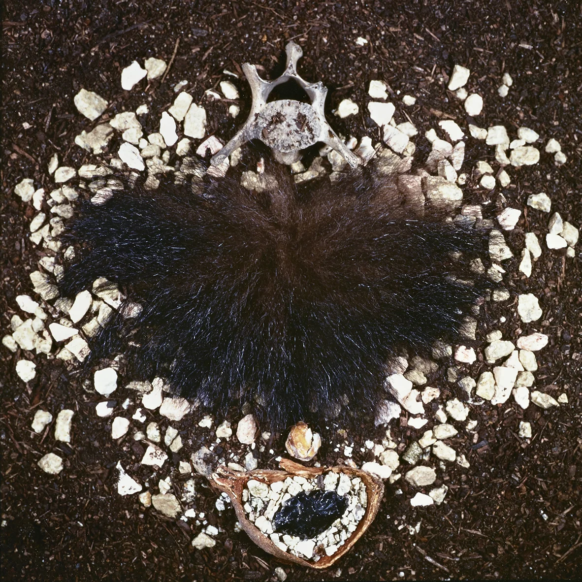  Cibachrome Print 