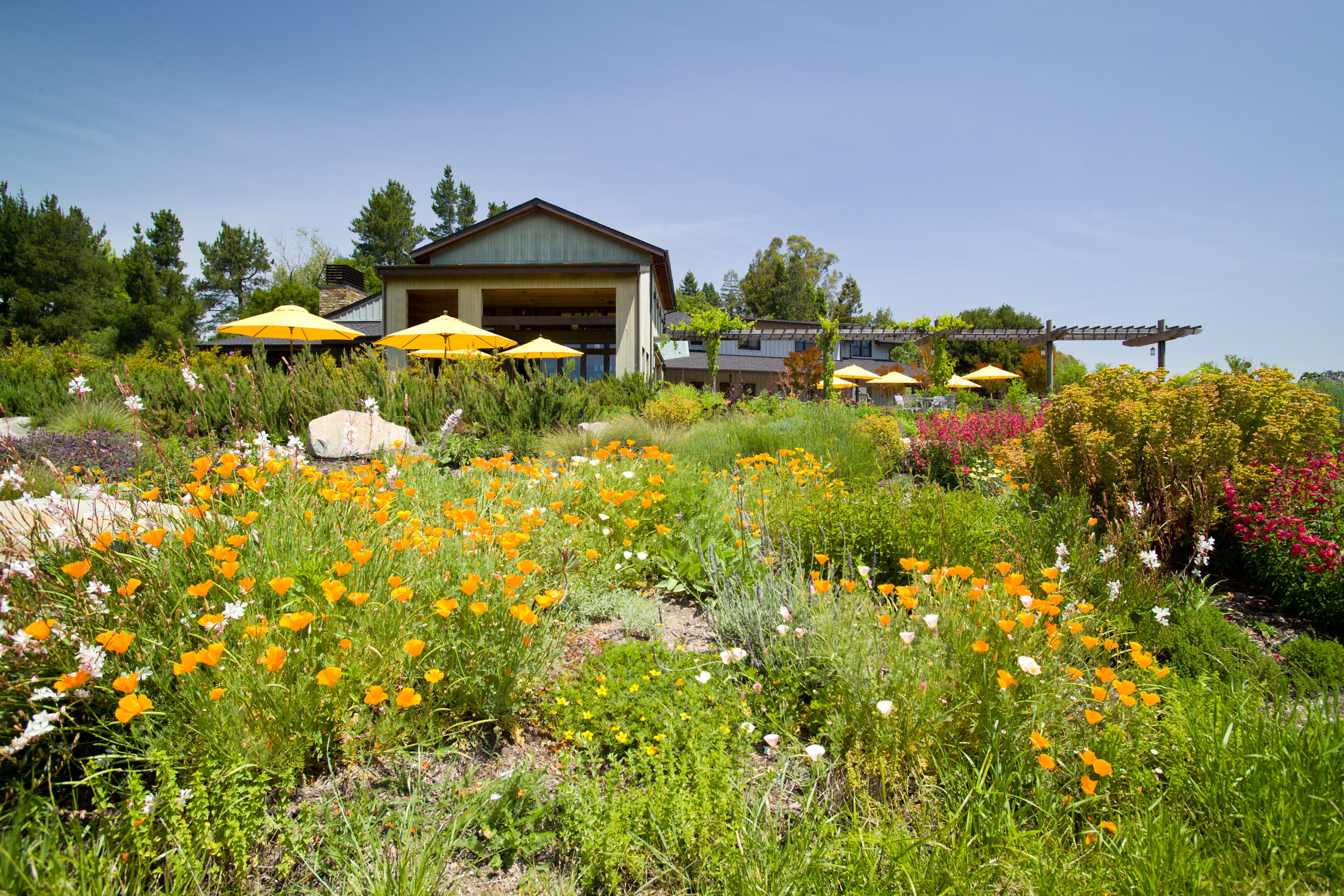 110524_Lynmar_Gardens_076.jpg