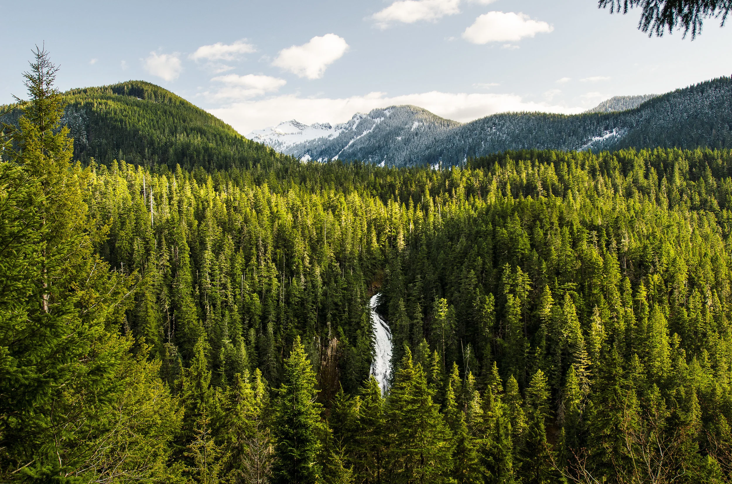 Landscape_18.jpg