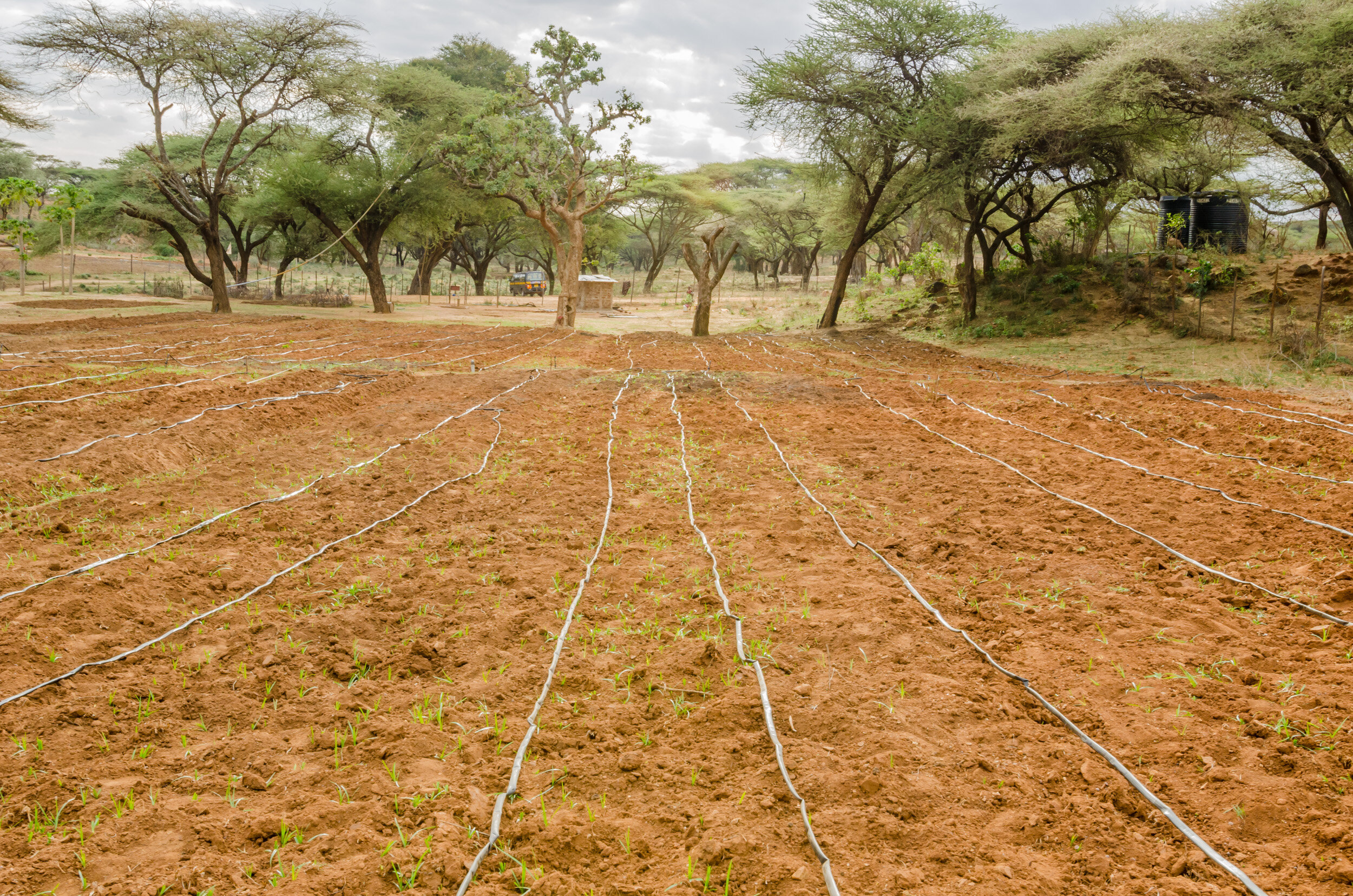 the water can be used to raise crops. (Copy)