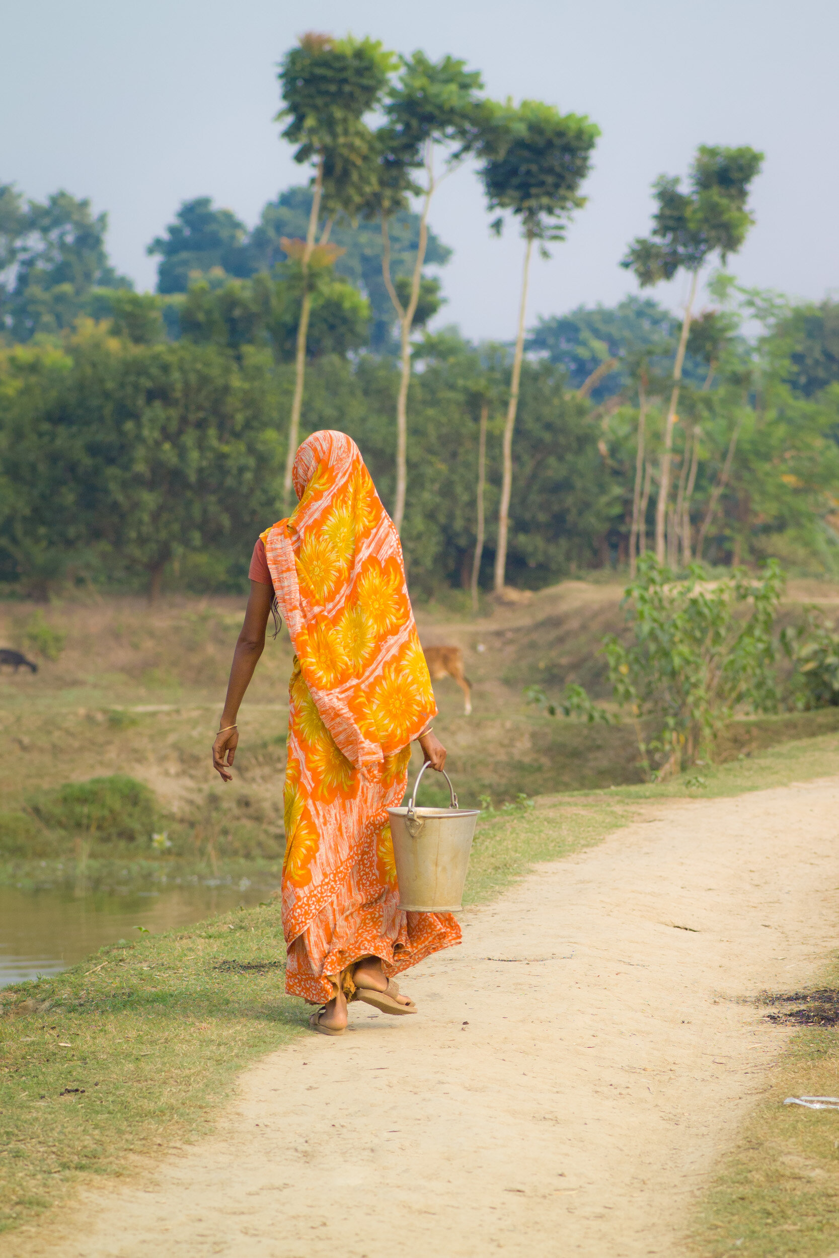 India_112910_105.jpg