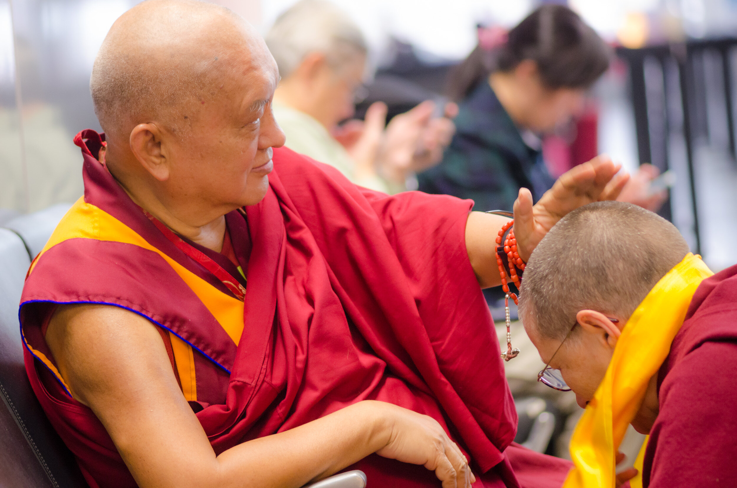 131120_LamaZopa_SFO_002.jpg