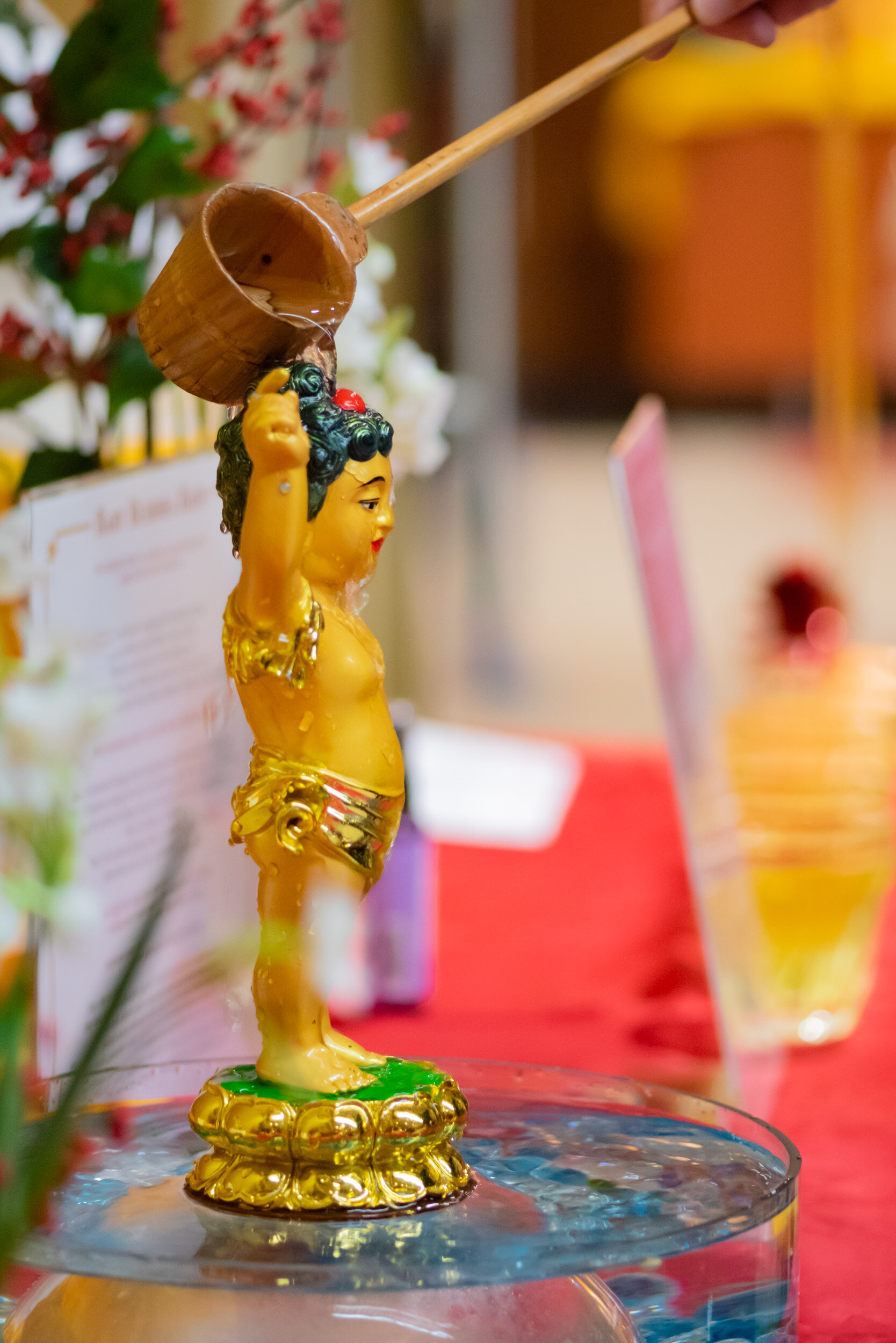 181208_CFM_2212.jpg