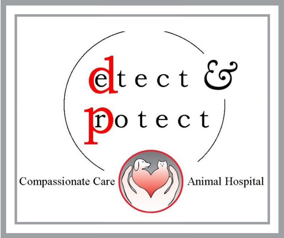 wellness diagnostics_detect-protect.png