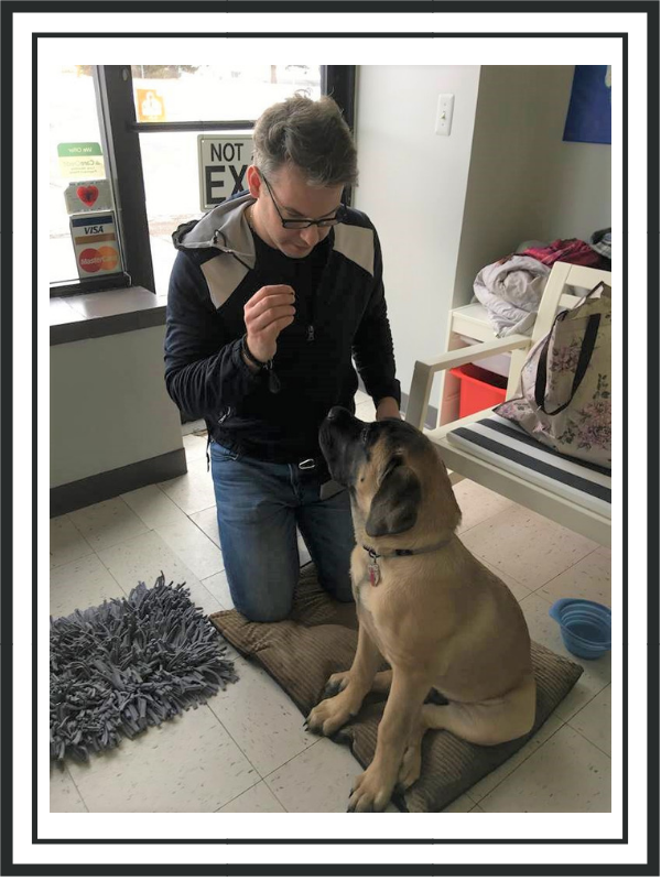2019_April_sunday event series_pet training.png
