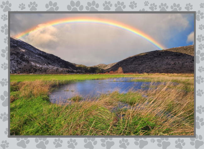 Pet Memorial - Rainbow Bridge.png