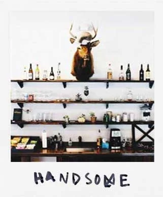 HANDSOME.jpg