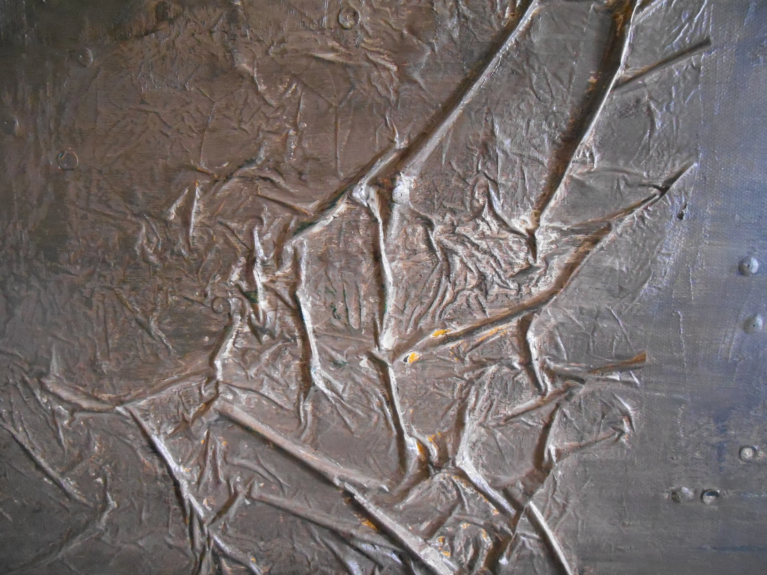 Fossil_closeup.JPG