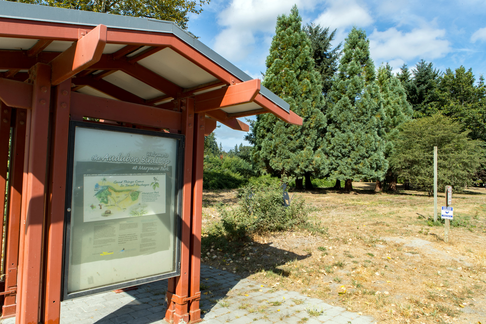 Photo: Marymoor Park Birdloop, by Mick Thompson