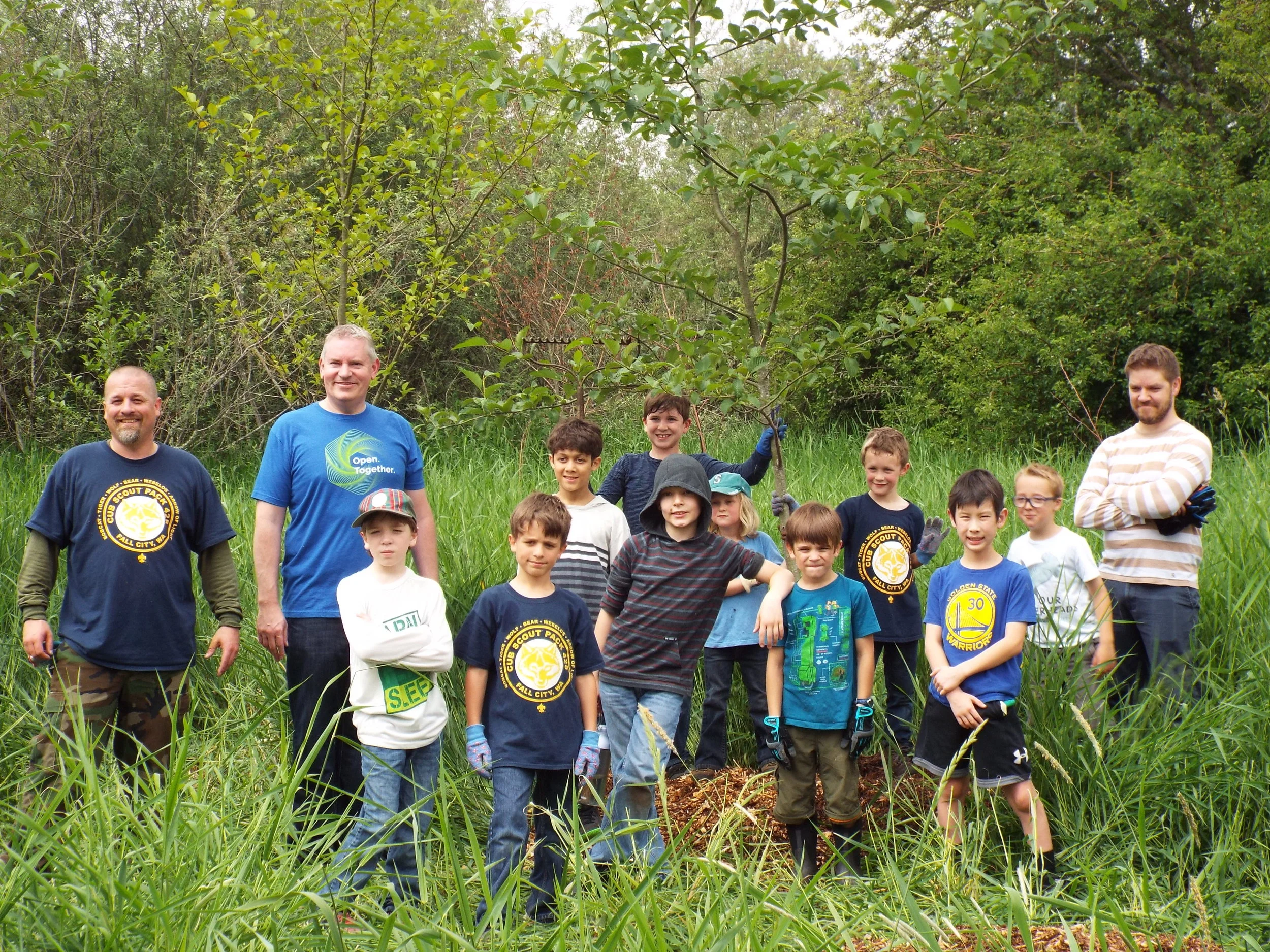 Marymoor Bird Habitat Restoration: June Update