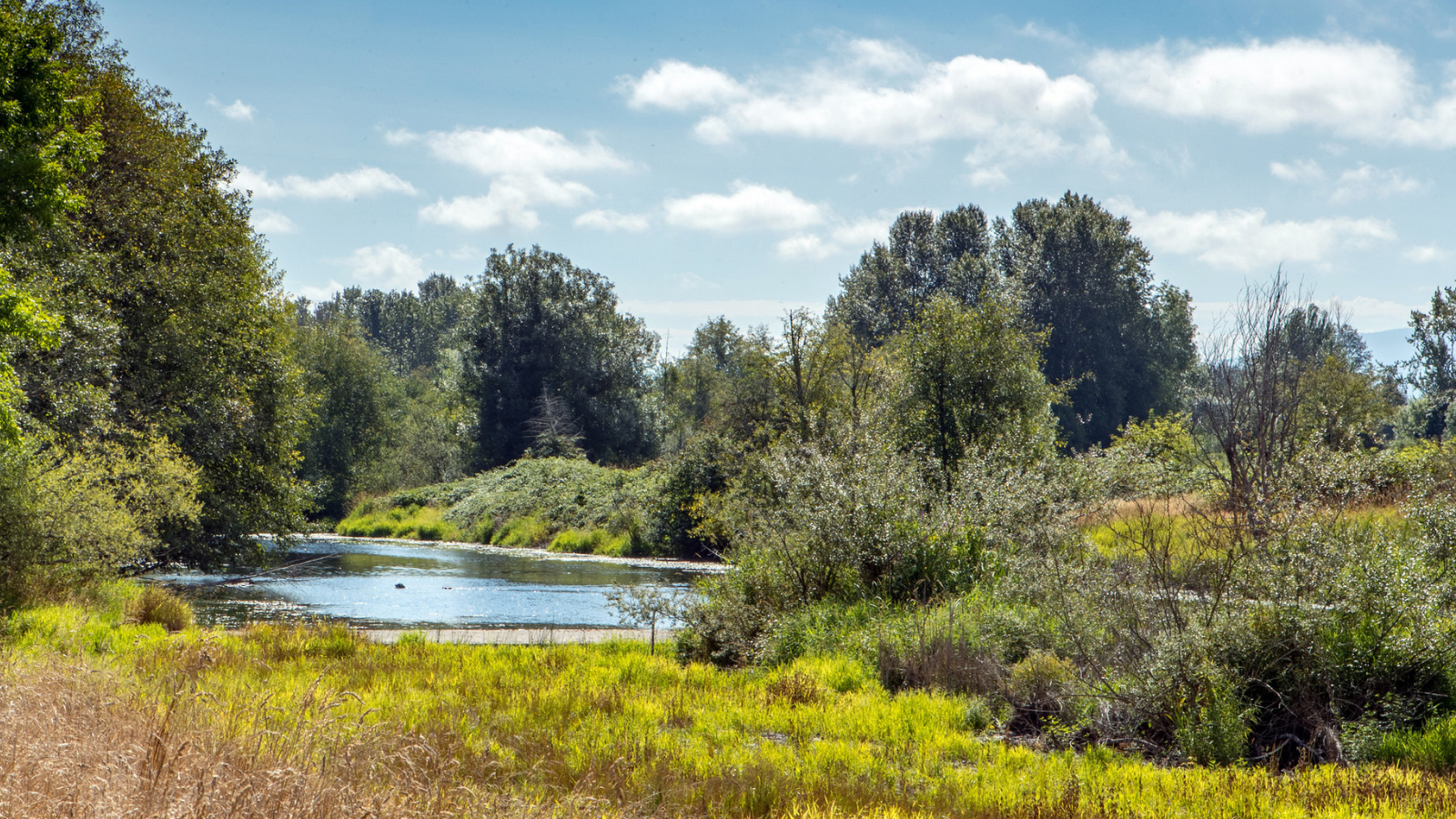 CANCELED - HABITAT RESTORATION AT MARYMOOR PARK