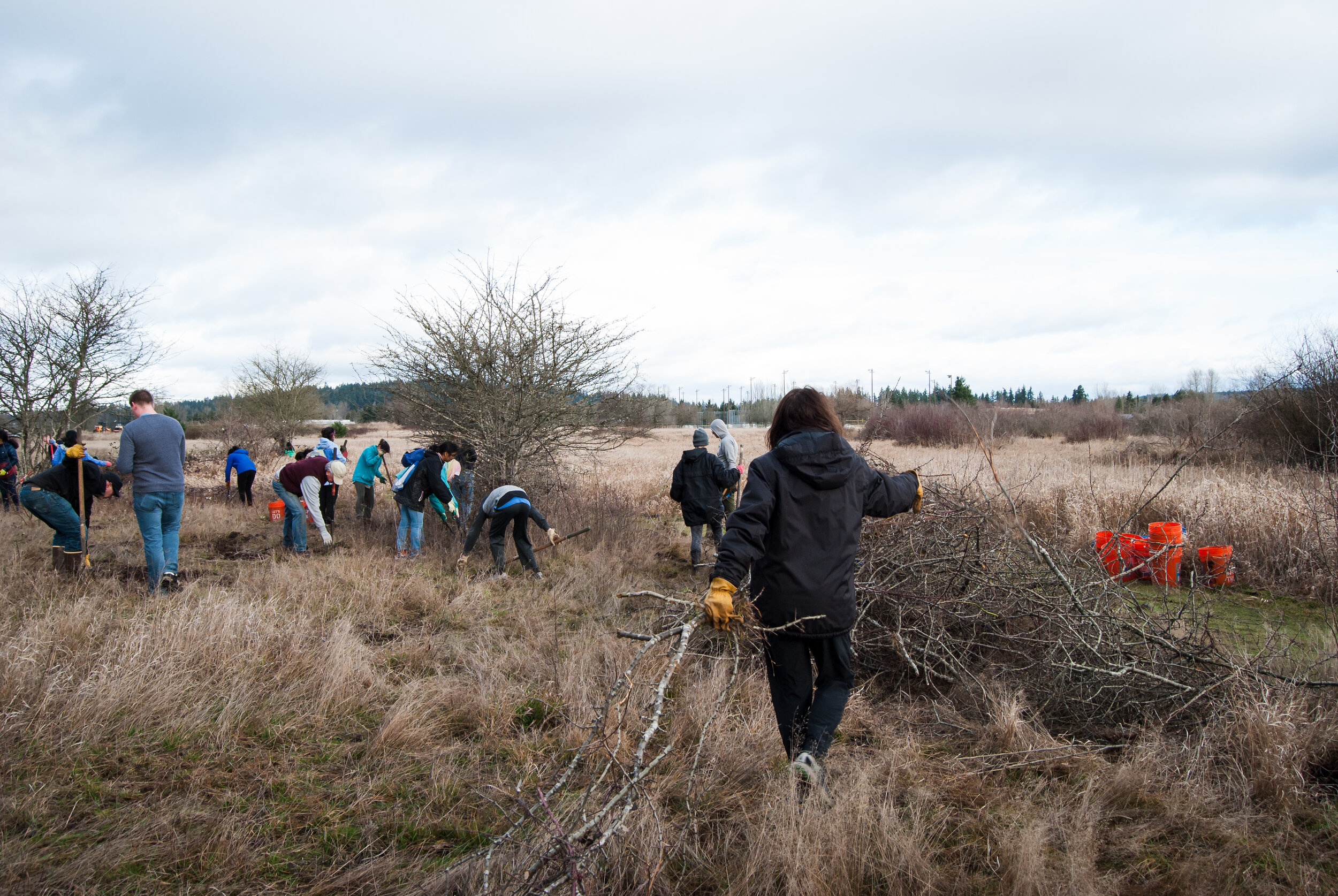 Marymoor Jan 2020-26.jpg