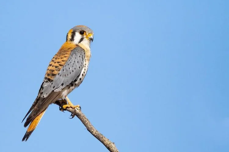 Marymoor Park After Work Field Trip