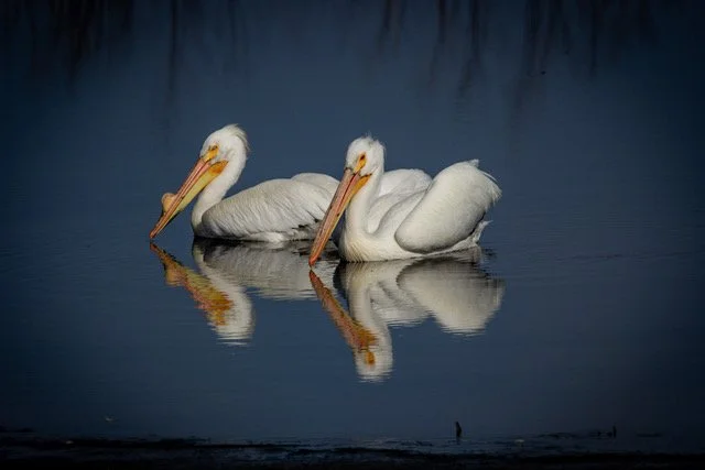 Photo of the Month: September