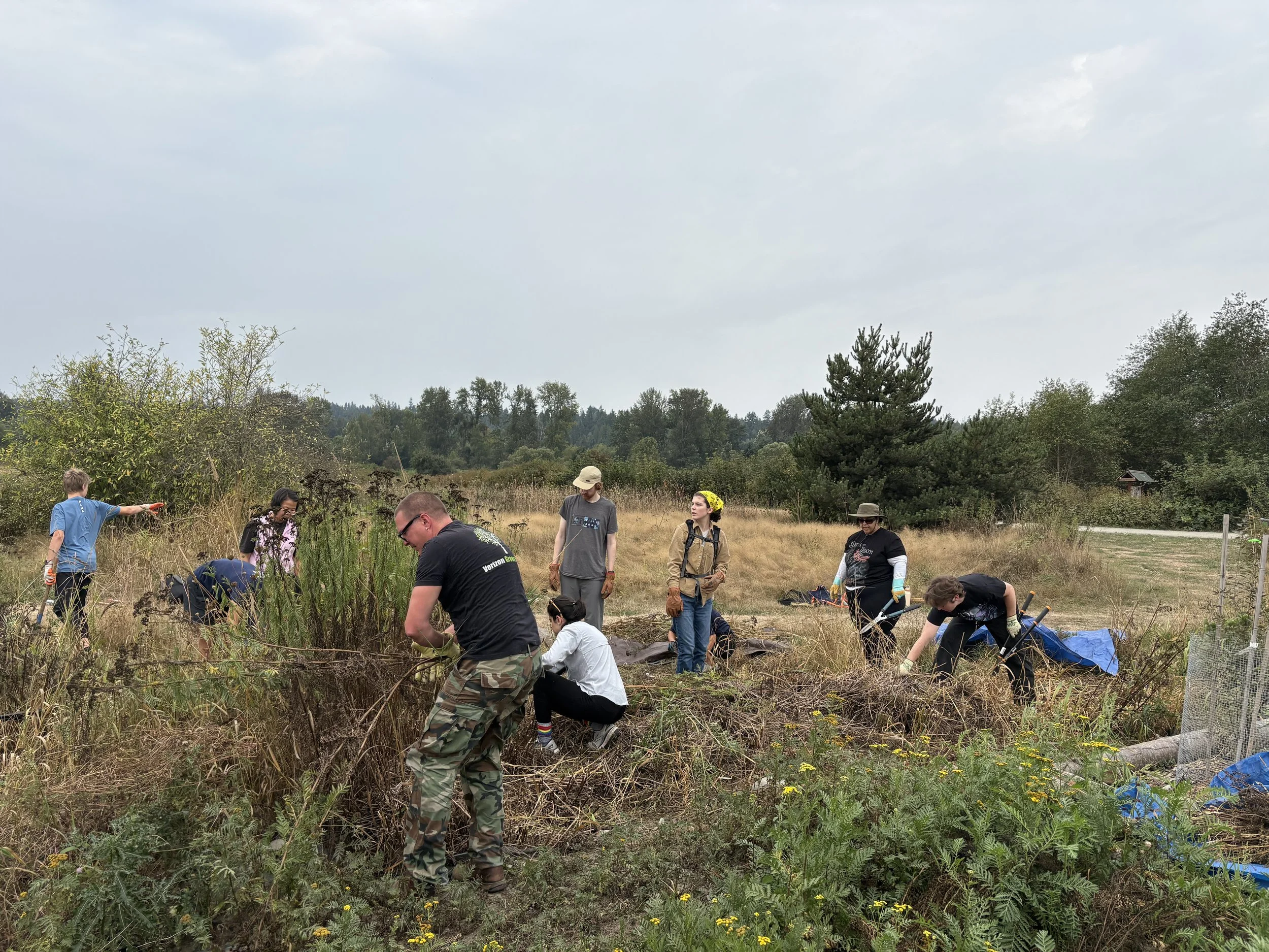 Marymoor Park Restoration: Looking back on 2025 &amp; Goals for 2026