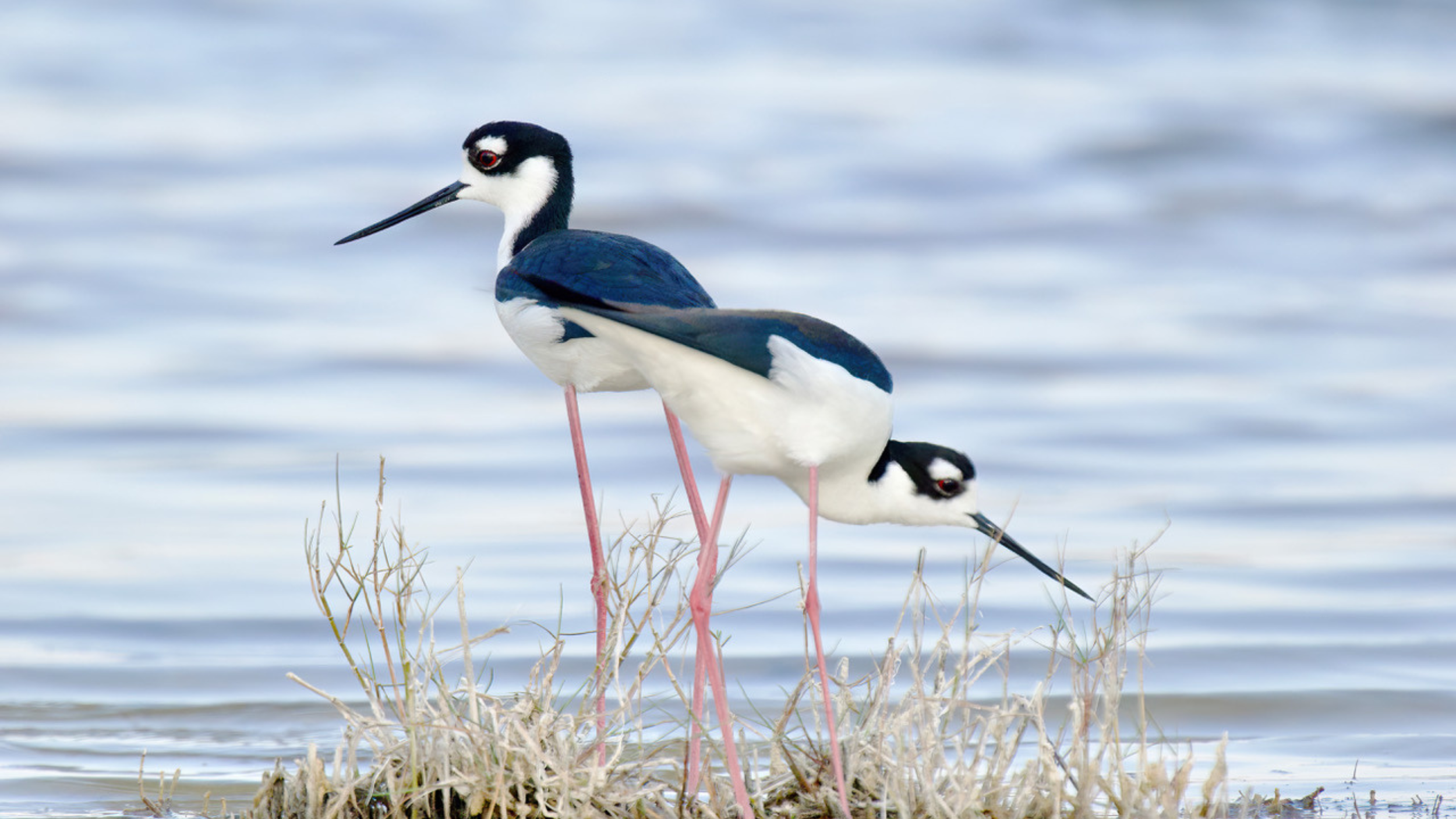 Photo of the Month: December