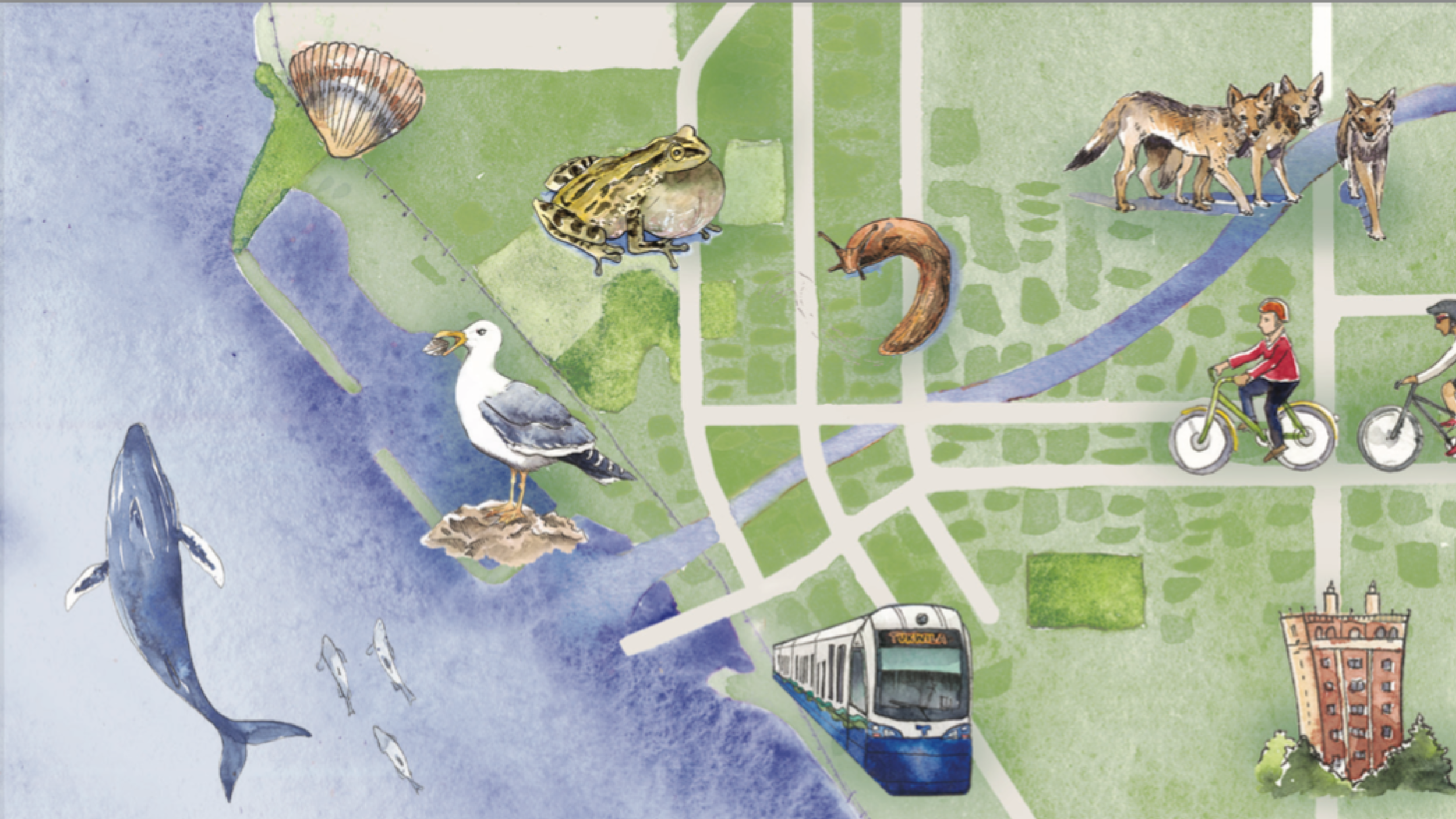 March Program Night: Wild in Seattle