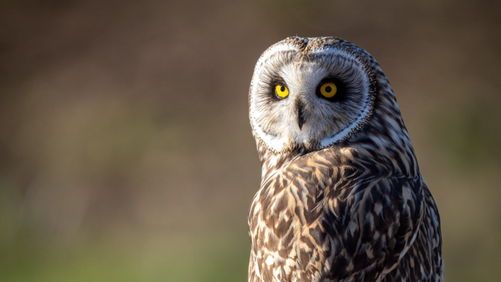 Photo of the Month: February