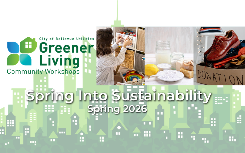 Spring Into Sustainable Living Classes from City of Bellevue!