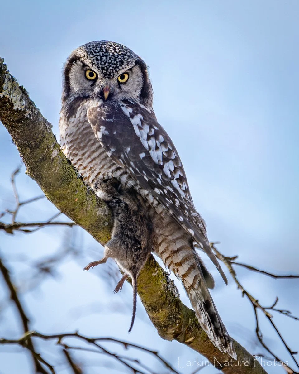 Photo of the Month: September