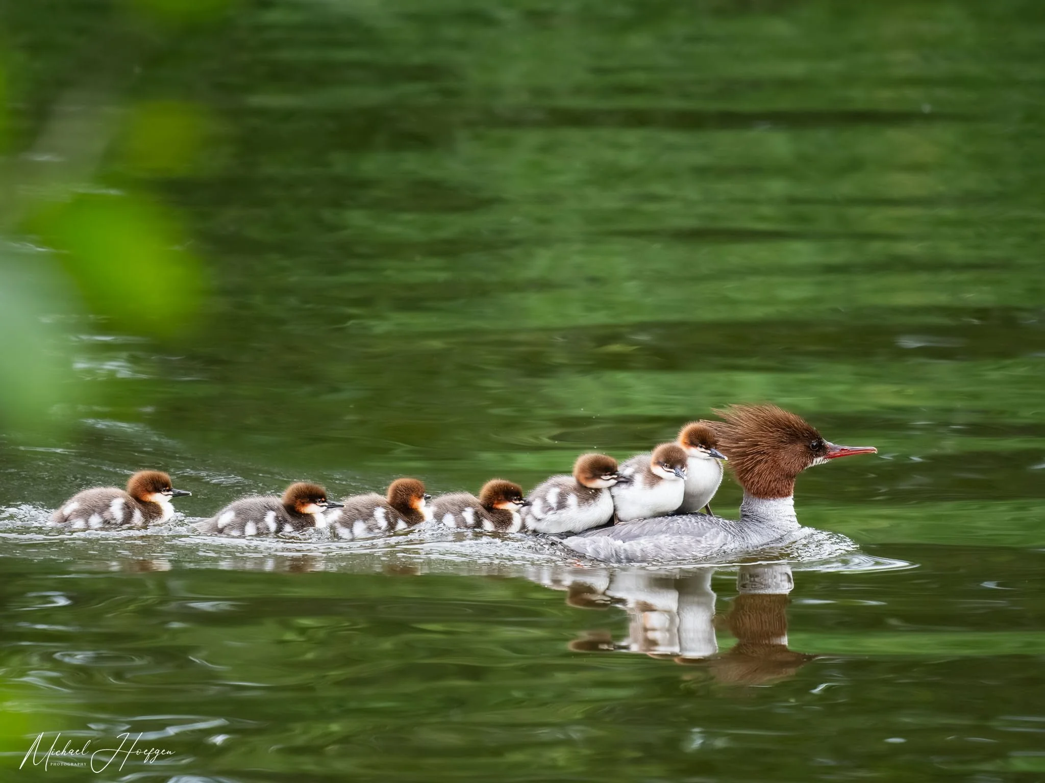 Photo of the Month: June