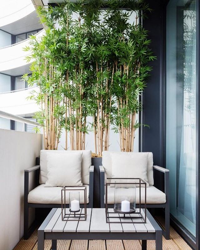 I&rsquo;m currently working on a patio design and am really loving these looks! Black and white adds sophistication while greenery livens up the space! 
Source: @pinterest