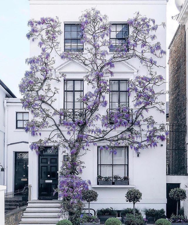 Curb appeal at its finest 🌿 📷via @jesstudd