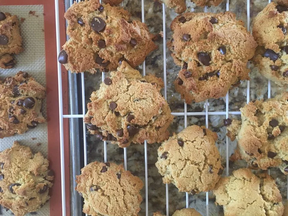 Grain-free chocolate chip cookies from Against All Grain, made with coconut flour and almond flour!