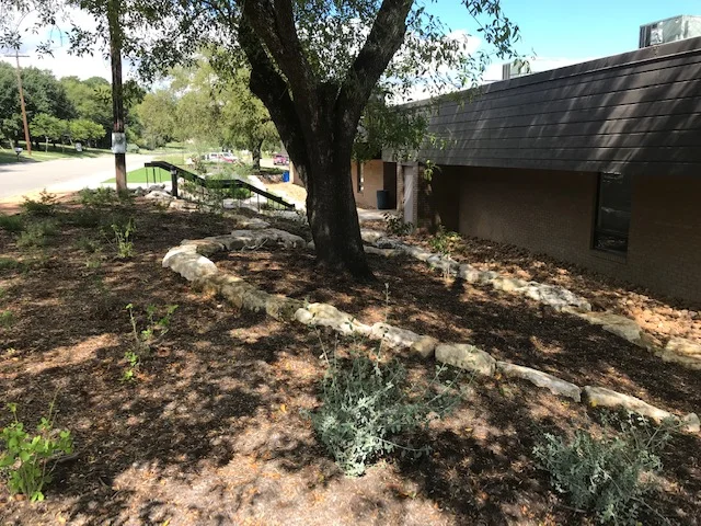 Terracing and safeguarding a tree