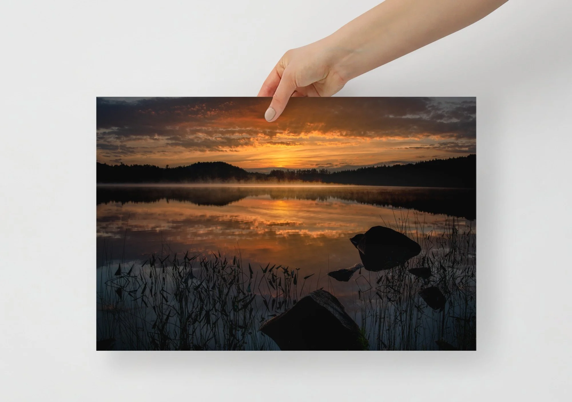 enhanced-matte-paper-poster-(in)-12x18-front-667ca6939de01.jpg
