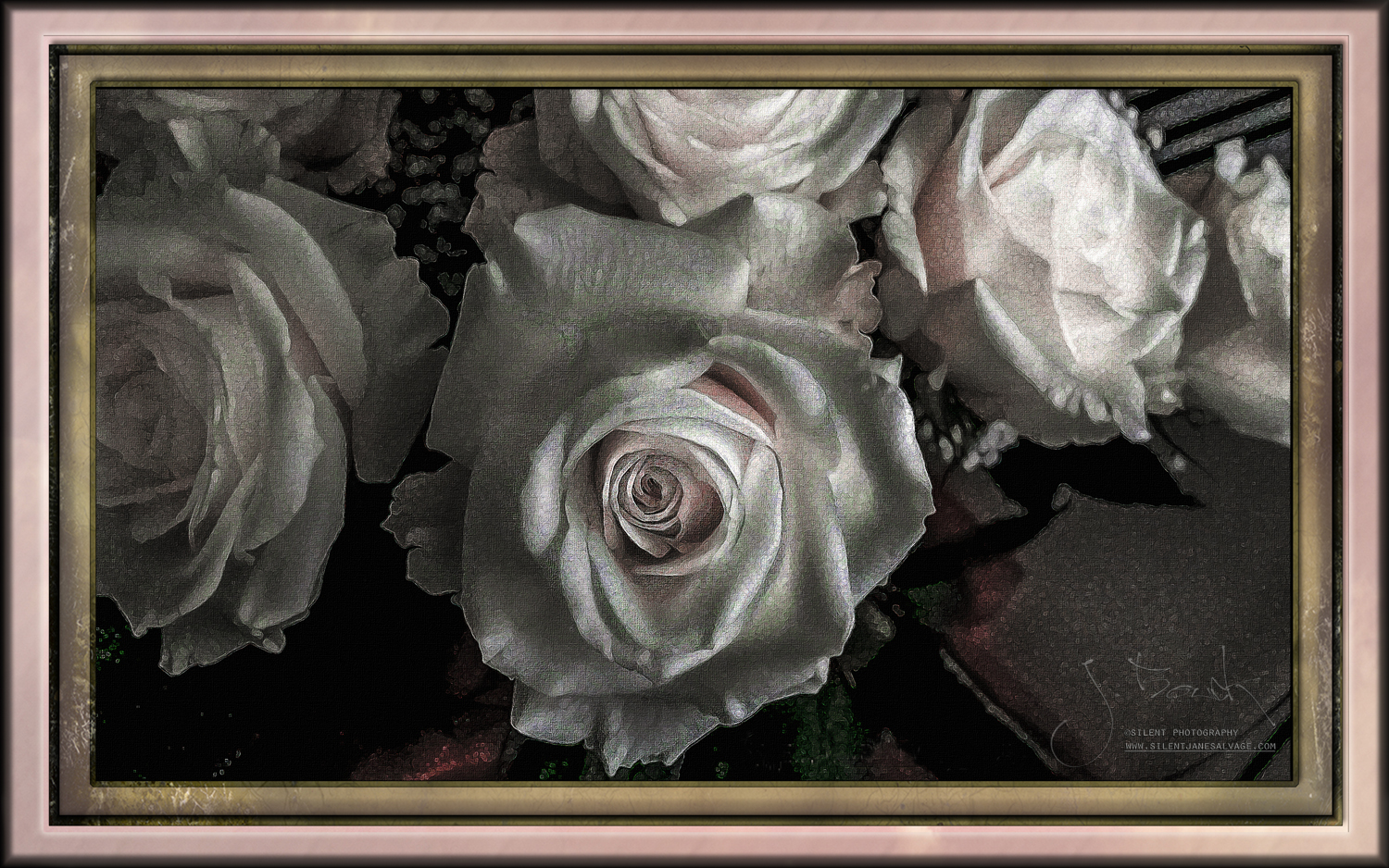 Crackleture White Roses