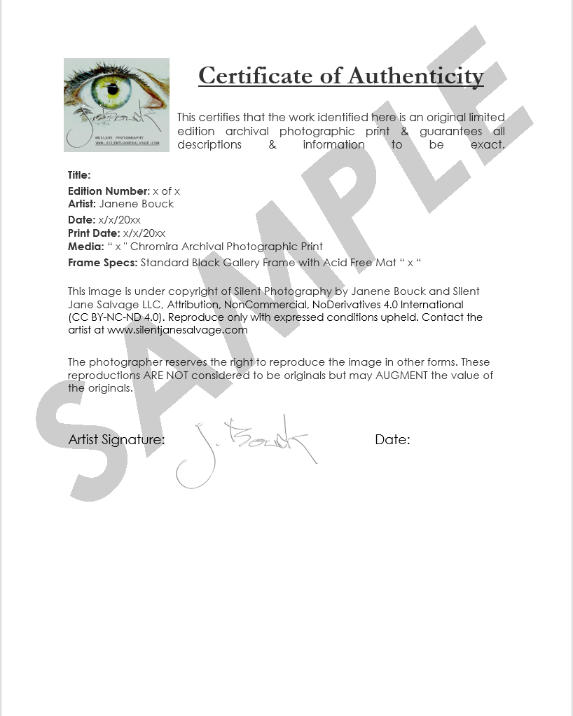Certificate of Authenticity Sample.jpg