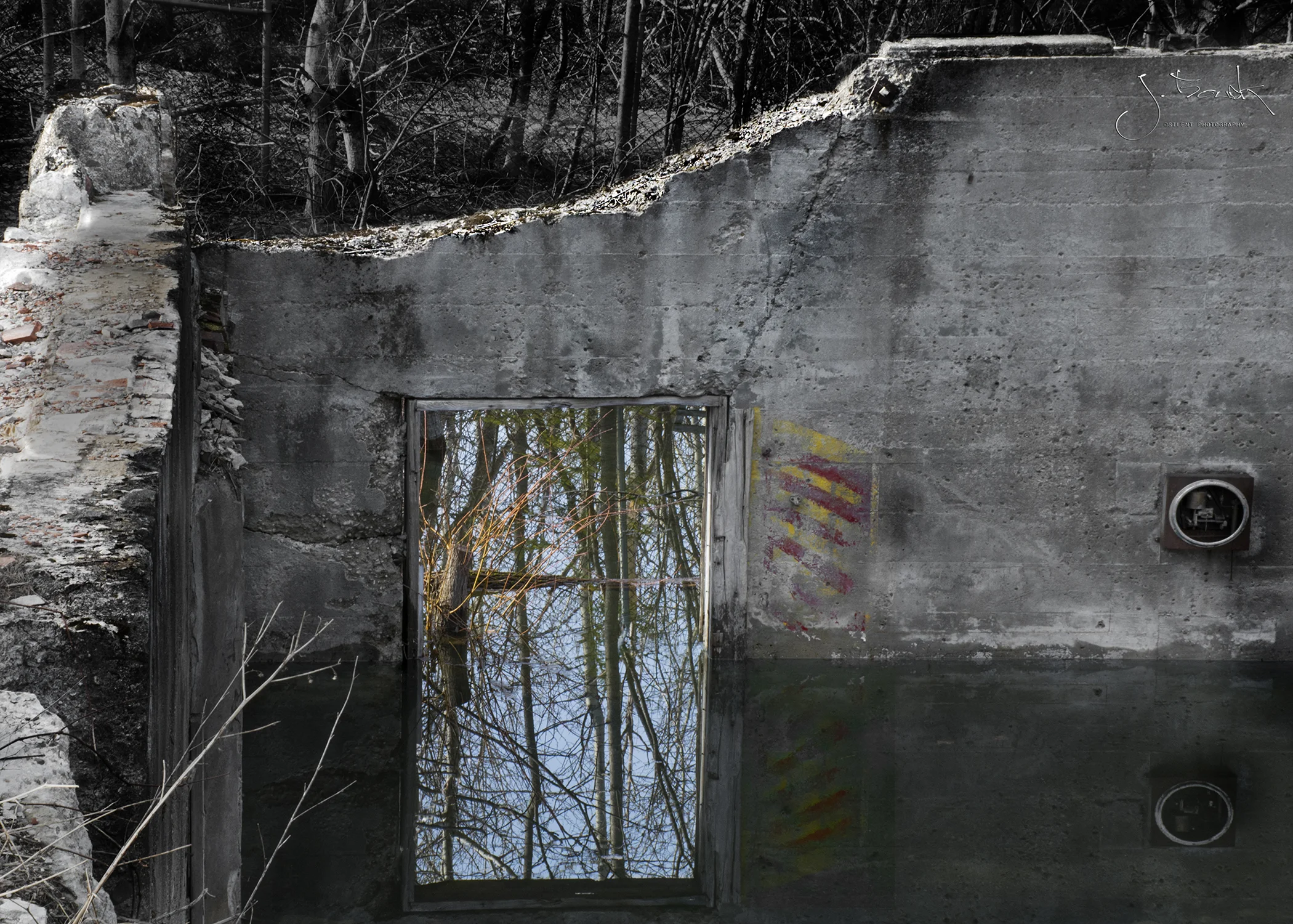Reflection 4308
