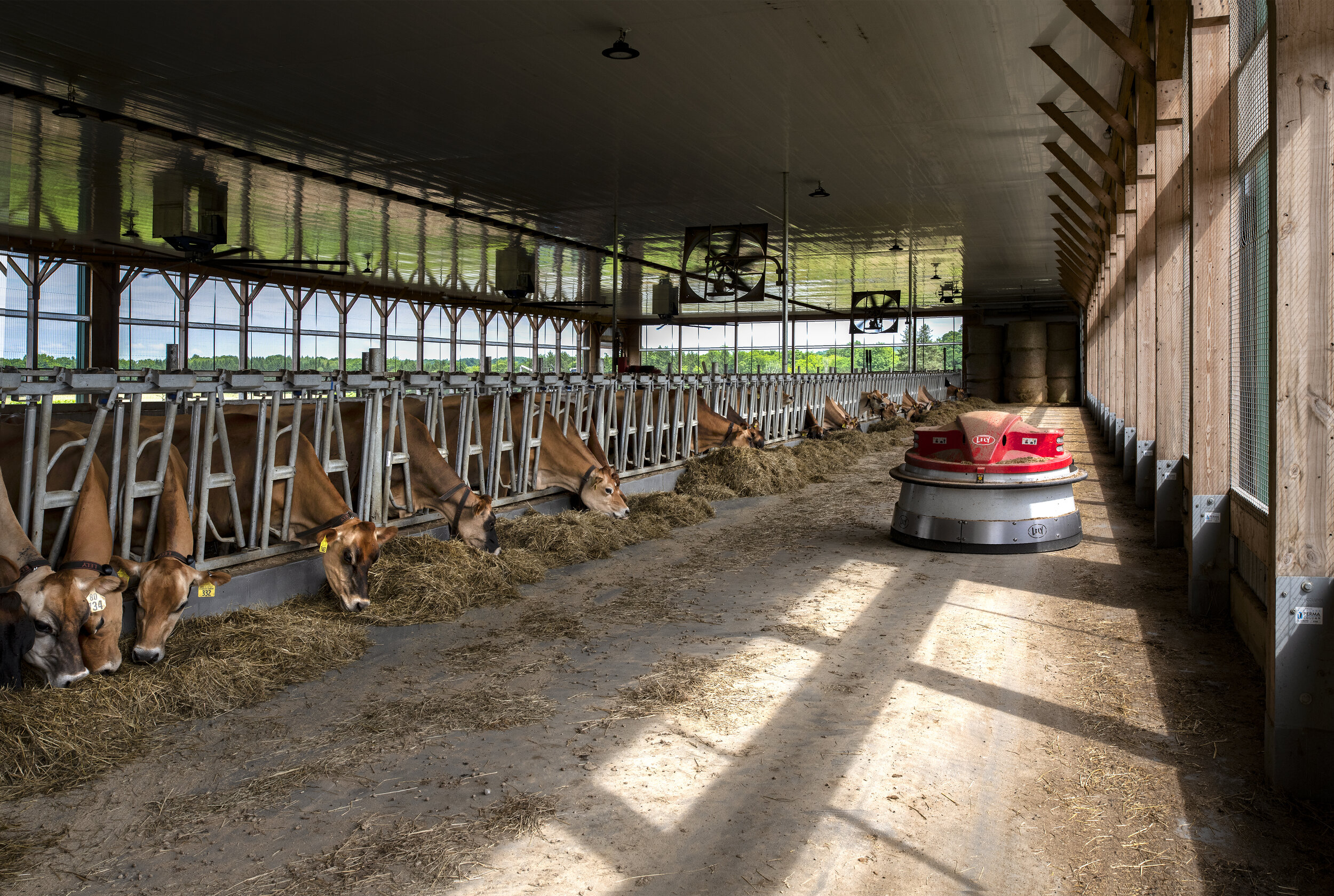 WM Juno sweeping the cow barn 3174.jpg