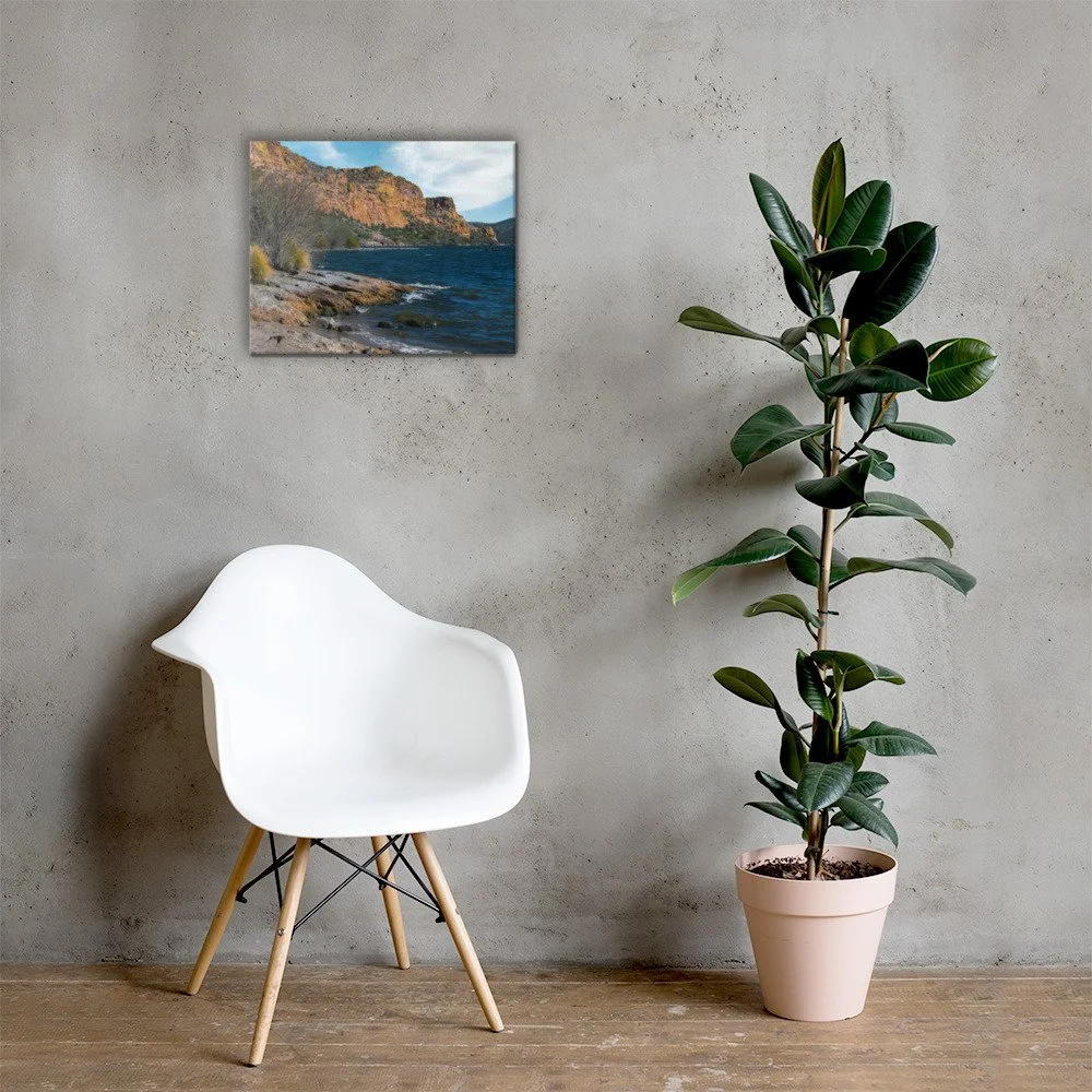 canvas-(in)-16x20-lifestyle-2-63581c44db1e5.jpg
