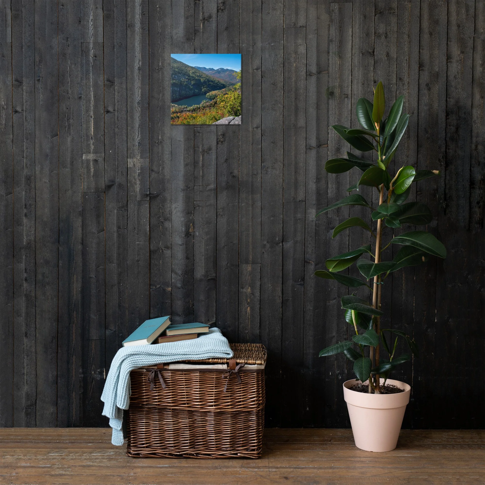 thin-canvas-(in)-12x12-front-6361c9ce738c1.jpg