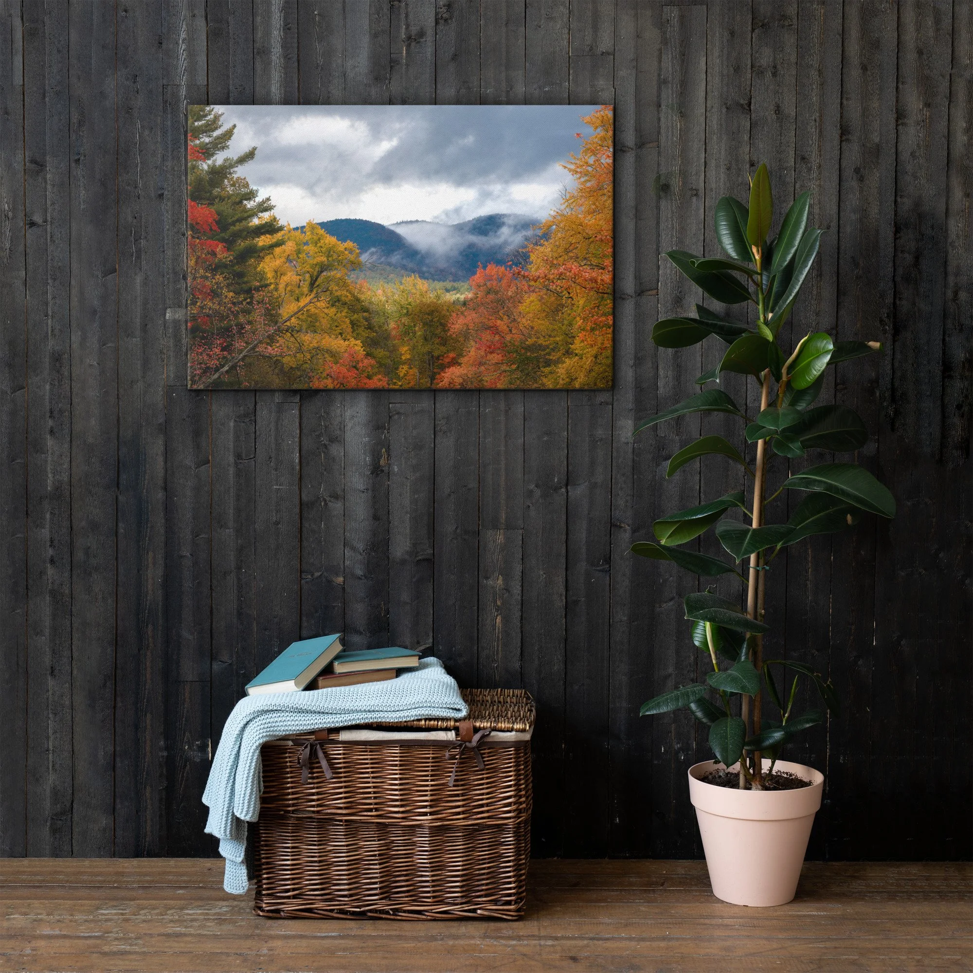 thin-canvas-(in)-24x36-front-63682a9fd53ad.jpg