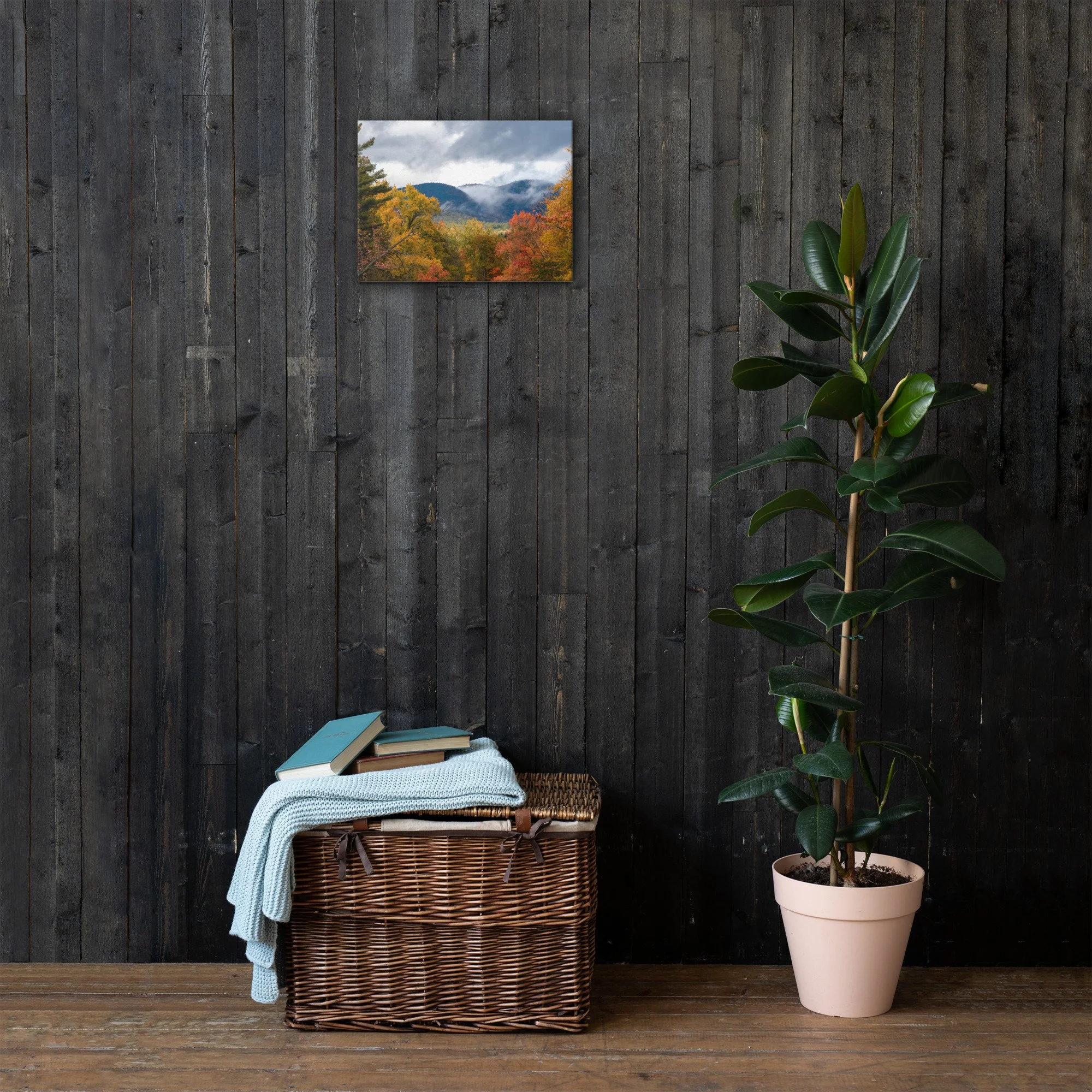 thin-canvas-(in)-12x16-front-63682a9fd5cf5.jpg