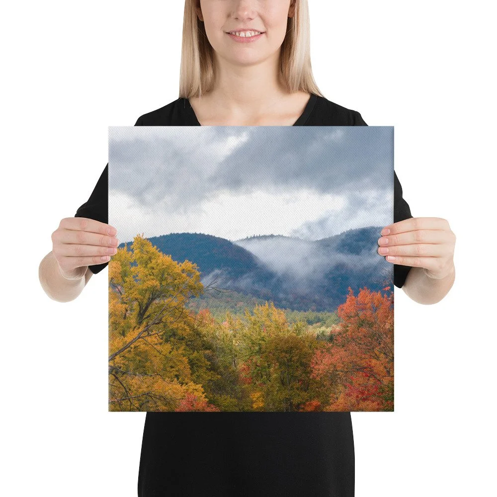 canvas-(in)-16x16-person-63682b68cdfa1.jpg