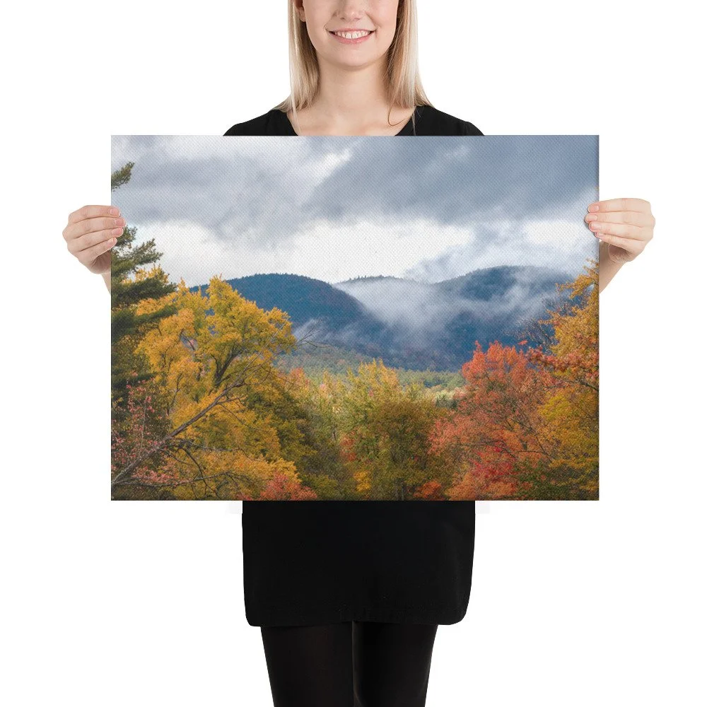 canvas-(in)-18x24-person-63682b68ce058.jpg