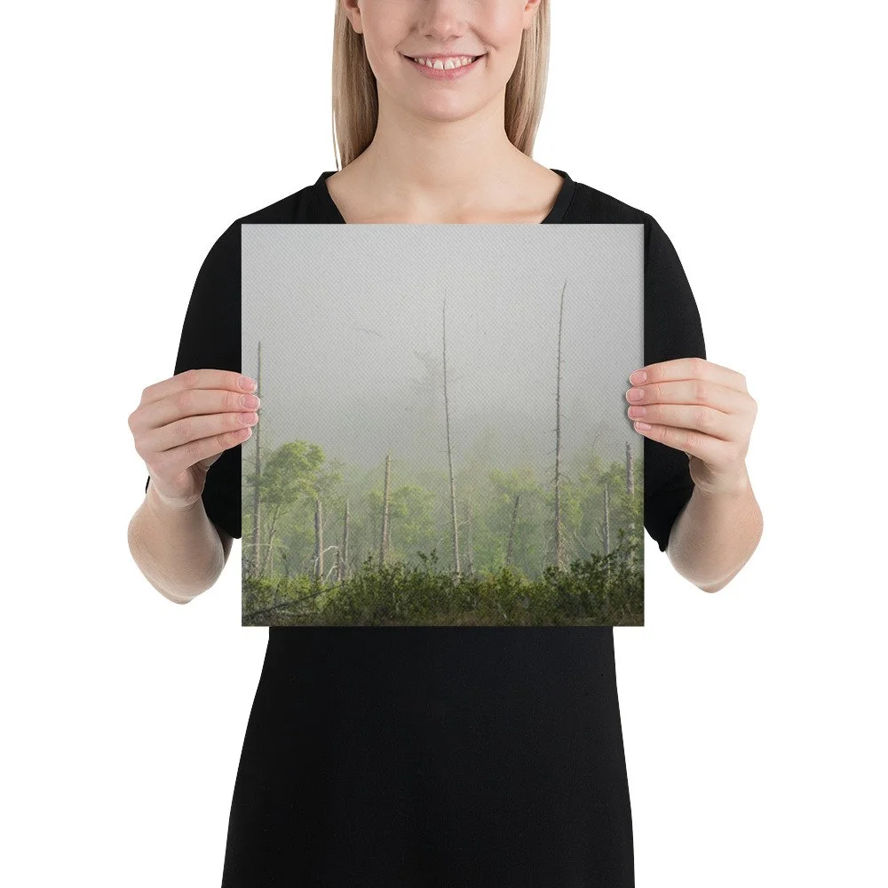 canvas-(in)-12x12-person-636d86b823f68.jpg