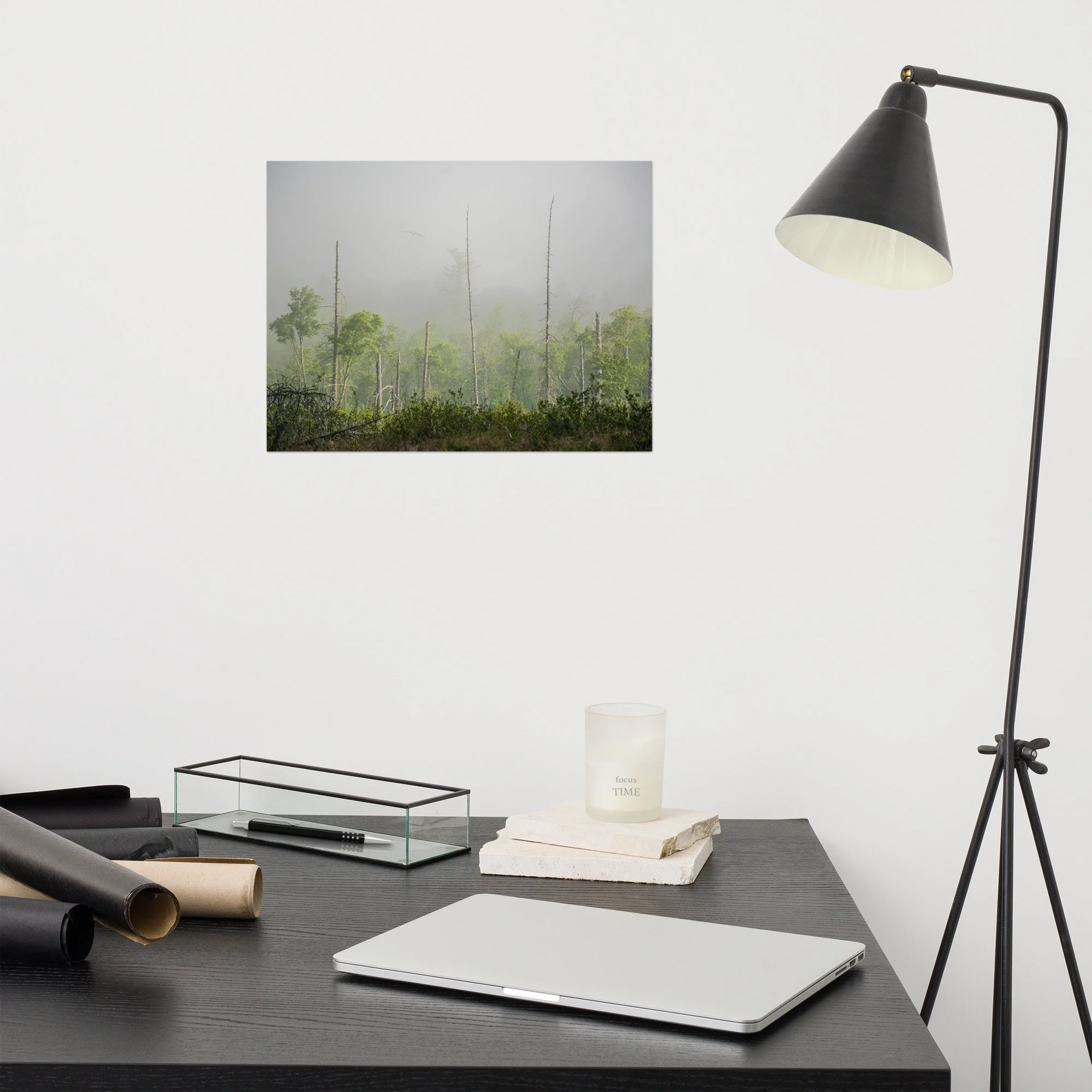 enhanced-matte-paper-poster-(in)-12x16-front-636d8b6a6f340.jpg