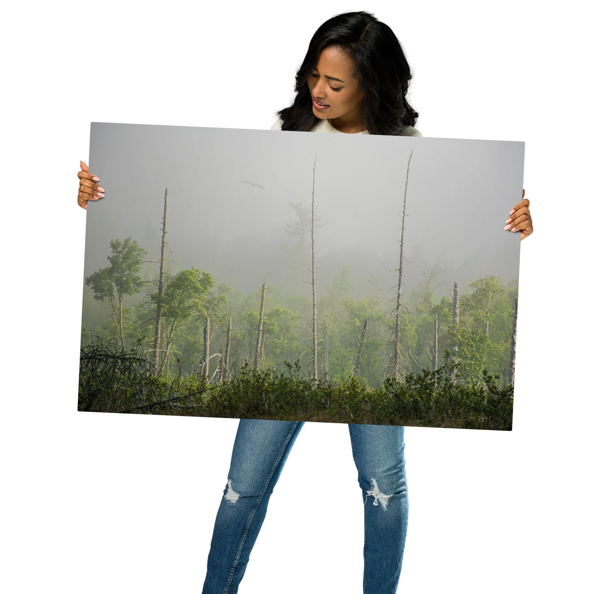 glossy-metal-print-(in)-white-24x36-front-636d8e51b2d5a.jpg
