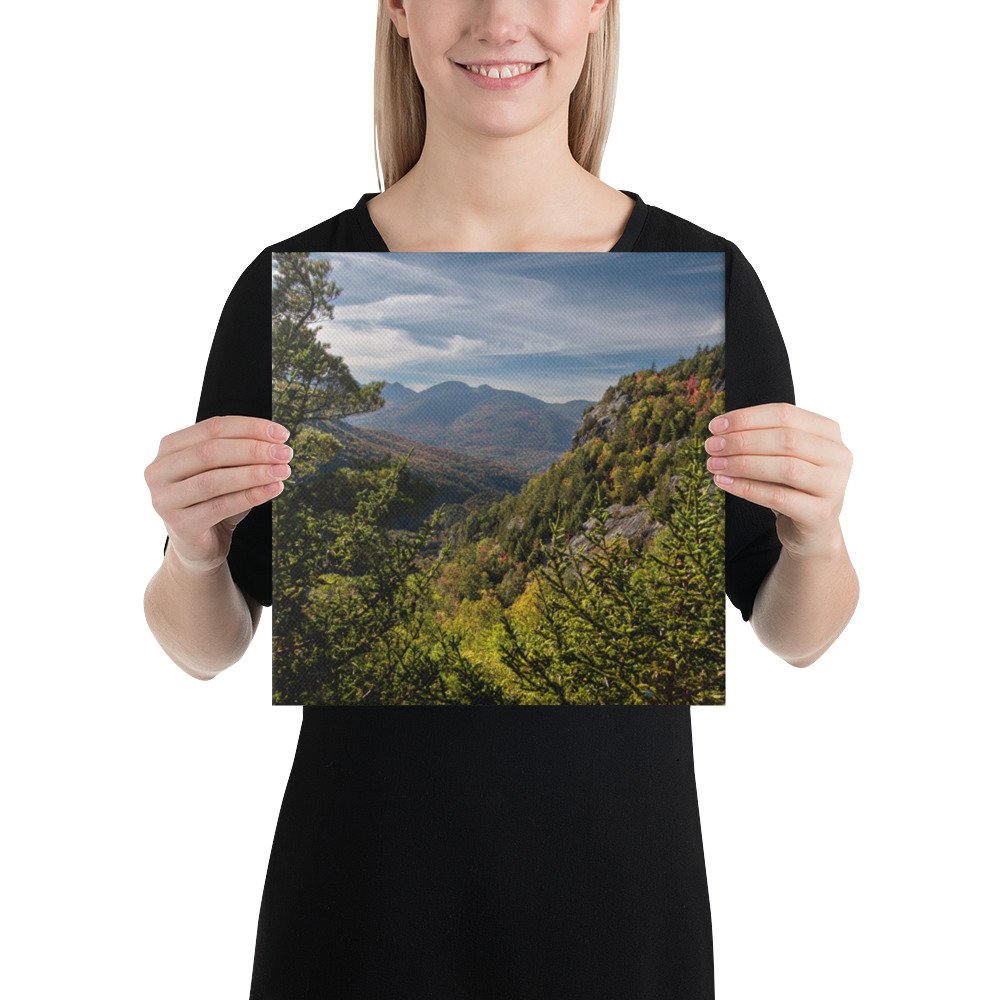 canvas-(in)-12x12-person-636e67c24d810.jpg