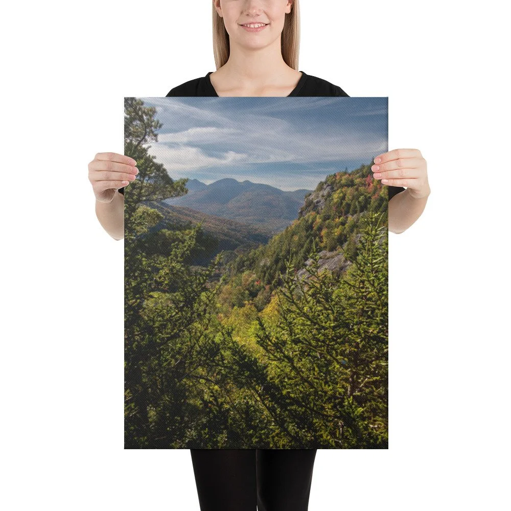 canvas-(in)-18x24-person-636e67c24dbd3.jpg