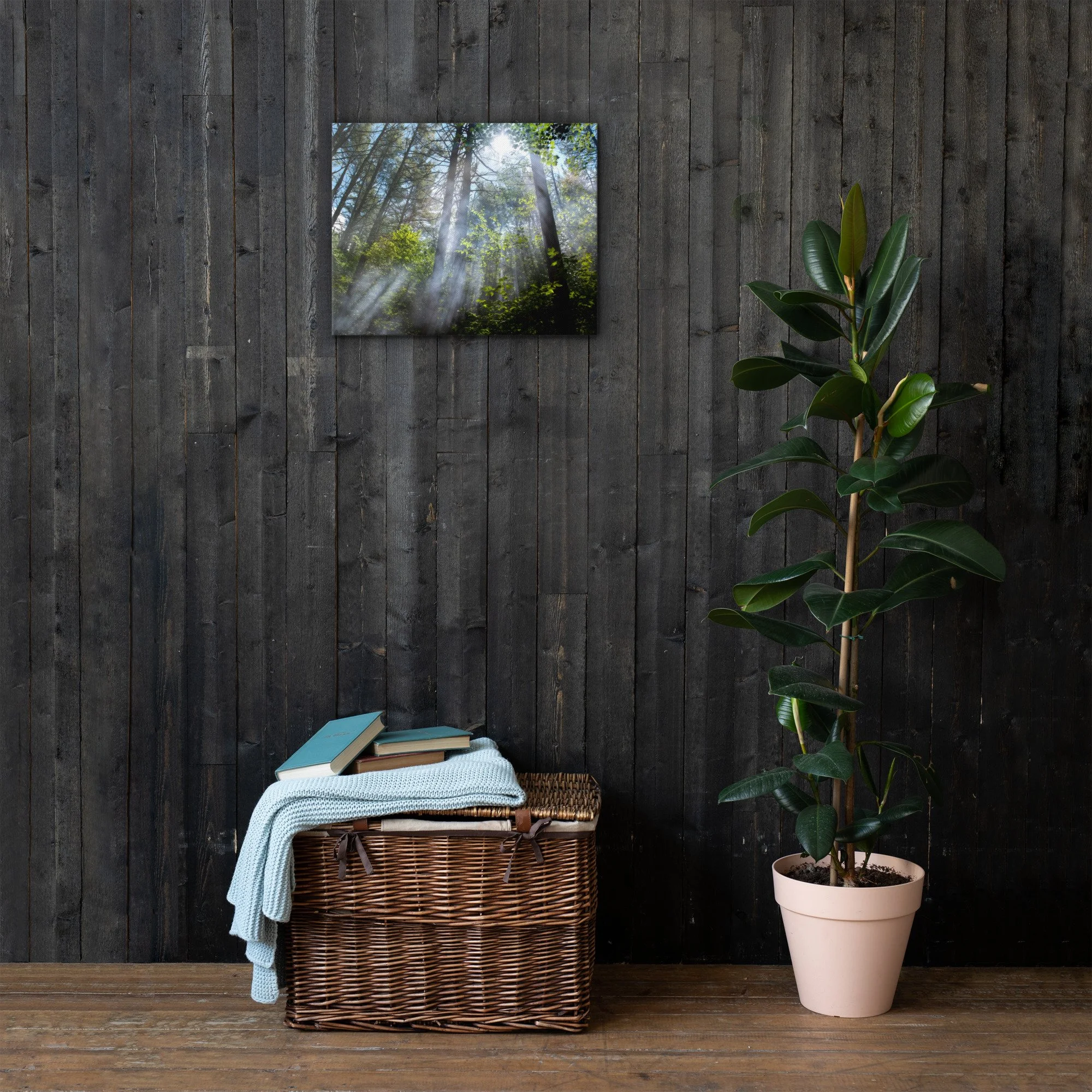 thin-canvas-(in)-16x20-front-636e9e7589bf7.jpg