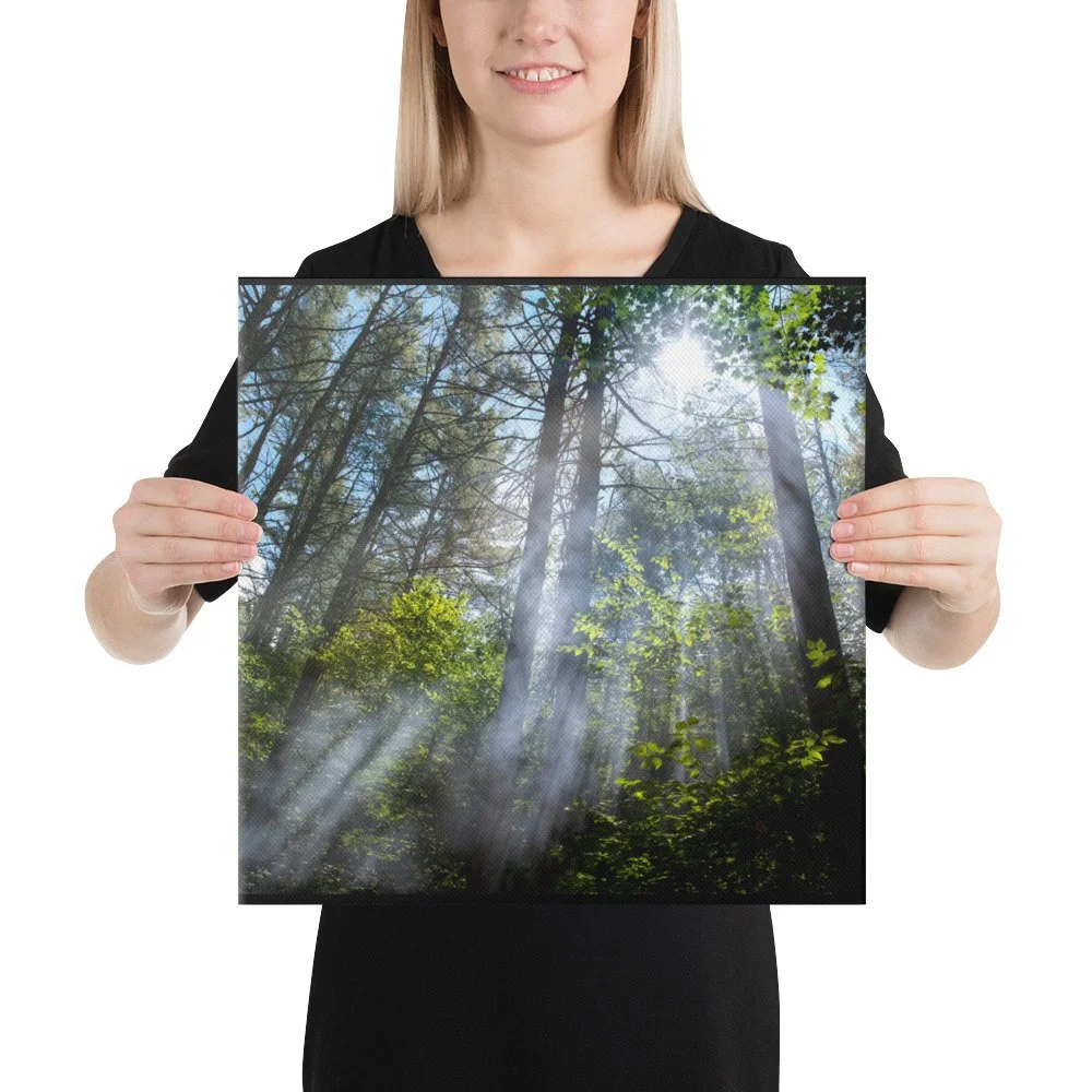 canvas-(in)-16x16-person-636e9fab1abe4.jpg