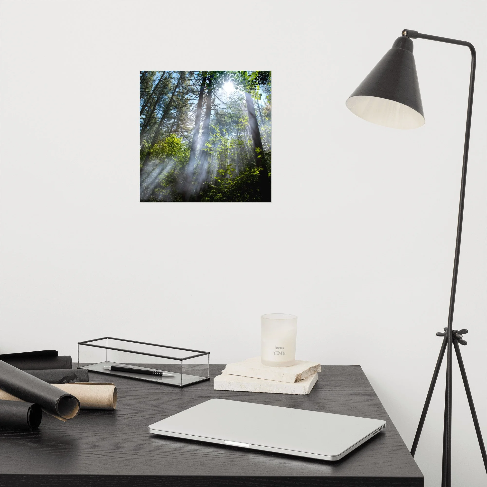 enhanced-matte-paper-poster-(in)-12x12-front-636ea113b708e.jpg