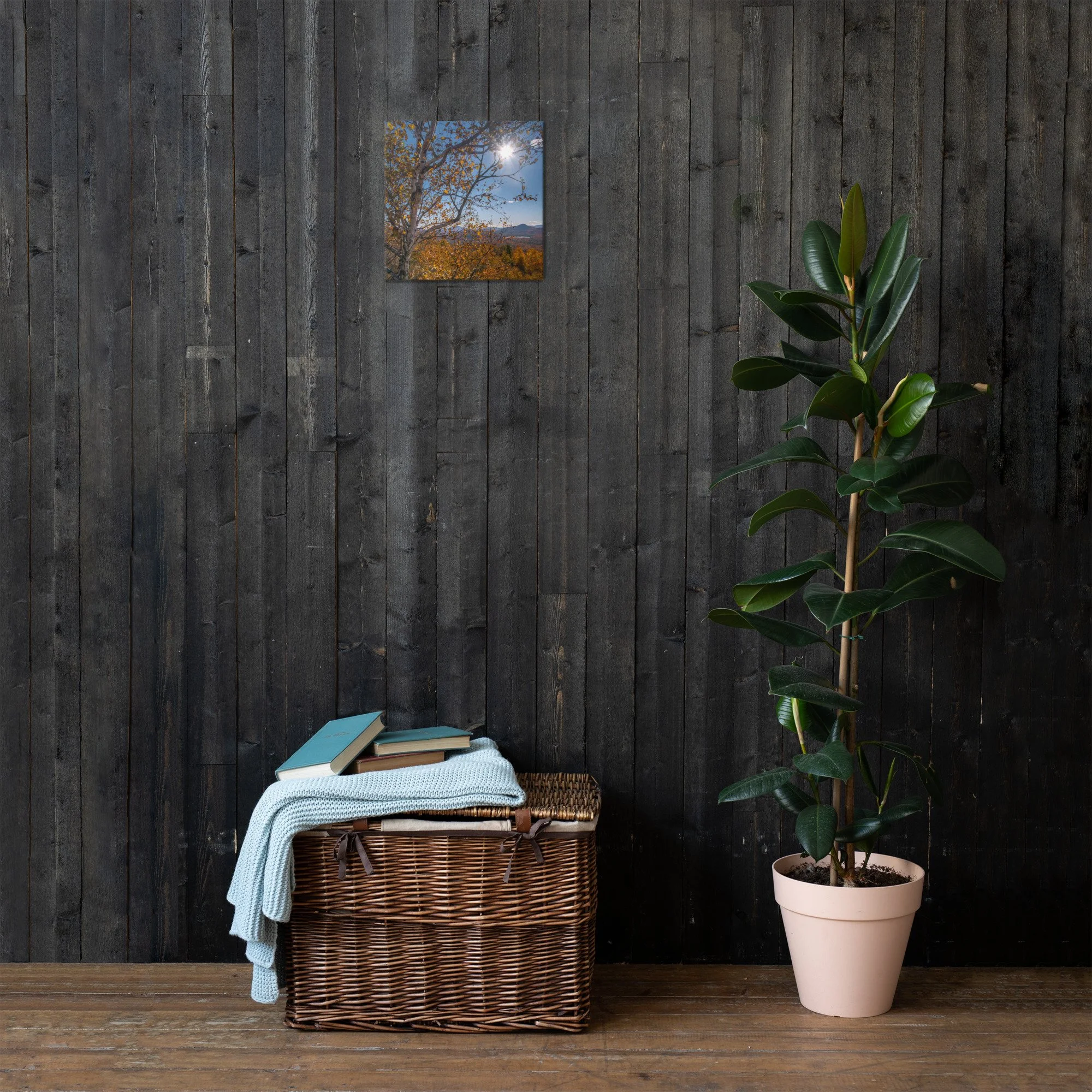 thin-canvas-(in)-12x12-front-636ea7b2bad27.jpg